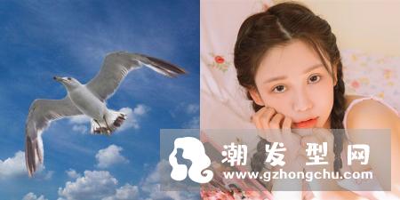 什么是海鸥线 搭配什么发型好看