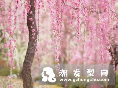 AYURA樱花光透蜜液体腮红色号怎么选 价格多少钱