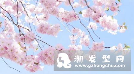 迪奥2018雪晶灵樱花粉颊彩有哪些色号 多少钱及上市时间