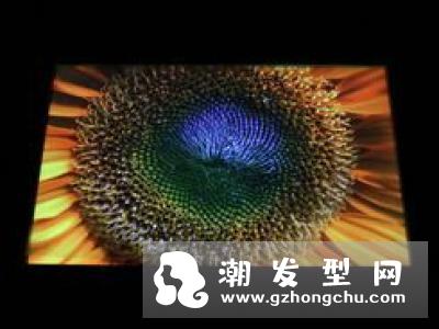 脱毛蜡纸和脱毛膏的区别 哪个好
