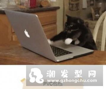 歌手2018张韶涵高光是什么牌子 同款topshop品牌介绍