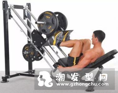 腿举和深蹲的区别在哪 哪个好
