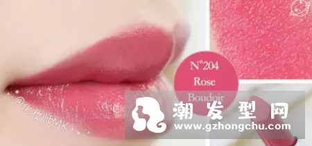 纪梵希豆沙色口红是几号 105试色图片