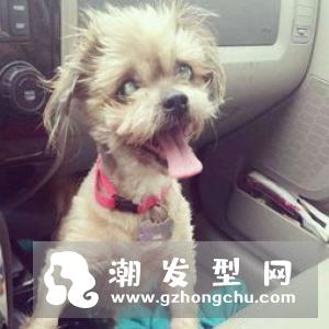 敷眼膜过敏了是什么原因 怎么办