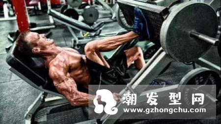 腿举和深蹲的区别在哪 哪个好