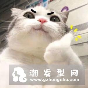 水乳早晚都要用吗 先用哪个