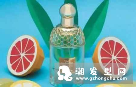 纪梵希小熊宝宝香水的香调 持久时间及适合人群