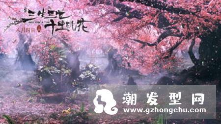 三生三世十里桃花洗发露什么牌子 限量定制多少钱