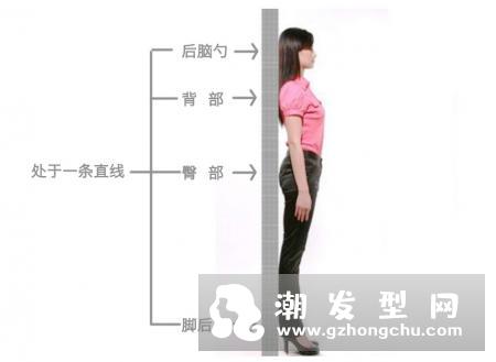 天鹅颈是什么样的图片 怎么练