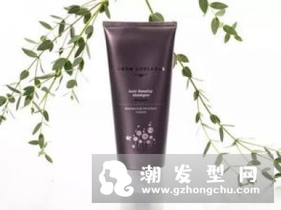 头发稀少的原因 用什么洗发水