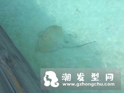 呼吸罗马系列怎么用 使用顺序是怎样的