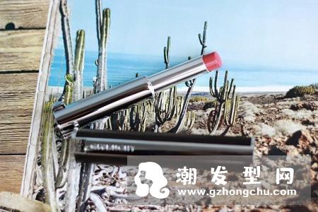 纪梵希豆沙色口红是几号 105试色图片