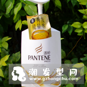 潘婷秀发能量水价格多少钱 怎么样