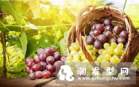 局部脱发是什么原因 吃什么中药