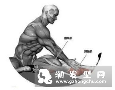 波比运动会影响肌肉吗 和TABATA的区别