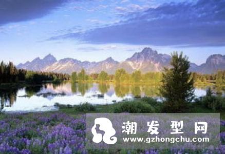 芦丹氏浅灰薰衣草是什么味道 适合的人群及季节