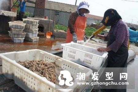 胭脂红是什么颜色口红 试色图片