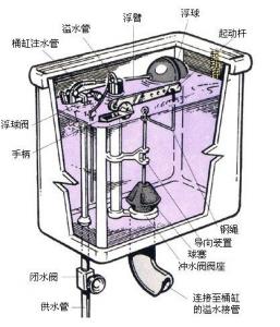 cure去角质真假辨别方法图解 看泵头高矮