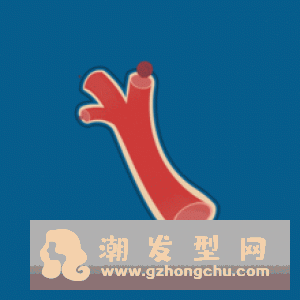 香奈儿是什么标志 适合什么年龄