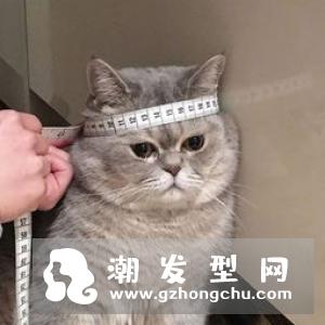 粉底霜太干了怎么办 晚上能用吗
