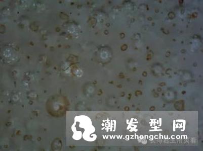 fancl洁面粉孕妇能用吗 真假鉴别方法