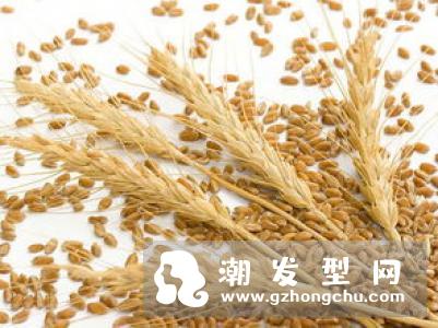 香蒲丽黄金水乳的功效及成分 怎么辨别真假