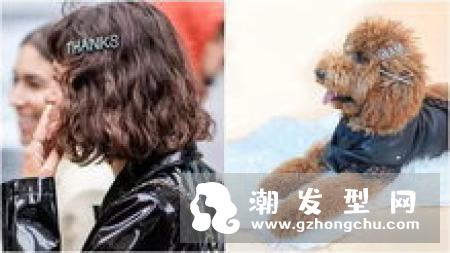 网红发夹怎么带好看 一夹就让你从时尚小白变时髦精