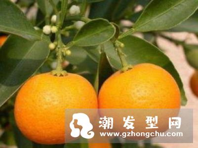 迪奥红毒是什么味道 保存方法是怎样的