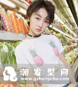 boylish短发发型图片 刘诗诗来示范