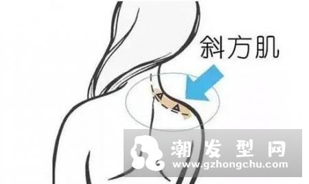 天鹅颈是什么样的图片 怎么练