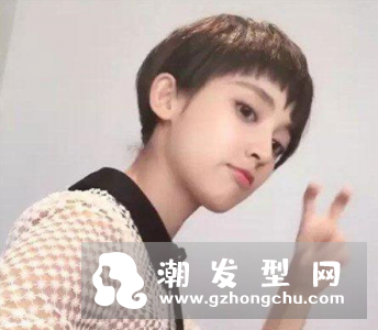 boylish短发发型图片 刘诗诗来示范