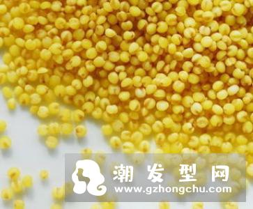 孔凤春是什么牌子 马齿苋调养水多少钱