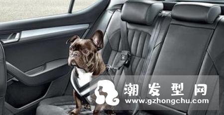 跑步机到底有没有必要买 一周几次合适