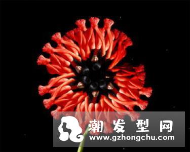 蝴蝶腰是什么意思 怎么练