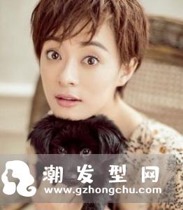 boylish短发发型图片 刘诗诗来示范