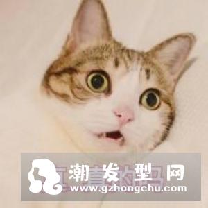 赫莲娜黑绷带价格多少钱 功效有哪些