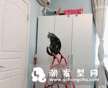 引体向上会引起岔气吗 能长时间憋气吗